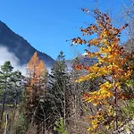 Kwatera prywatna Gaestehaus Maria - *