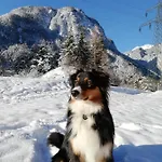 Gaestehaus Maria - Kwatera prywatna *