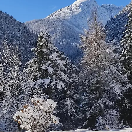 Privatunterkunft Gaestehaus Maria - *