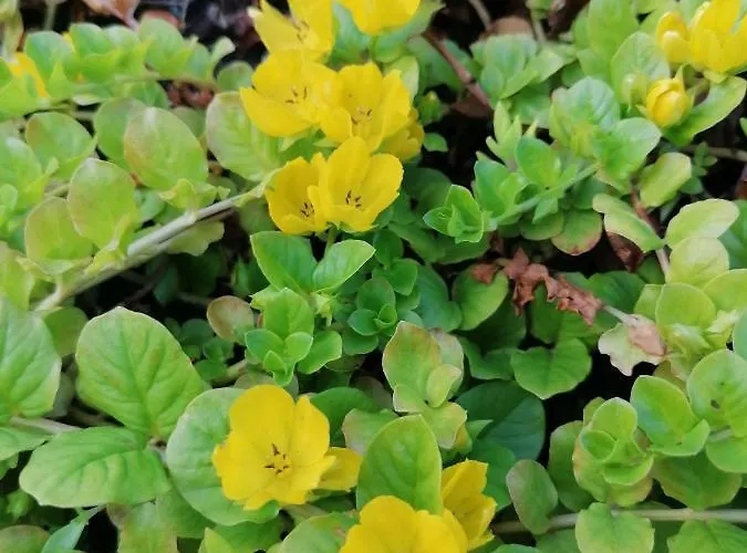 Gaestehaus Maria - * Nassereith