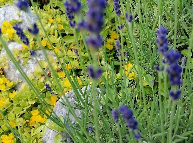 Gaestehaus Maria - Privatunterkunft Nassereith