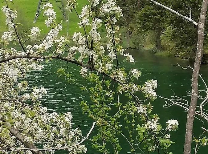 Gaestehaus Maria - Privatunterkunft *