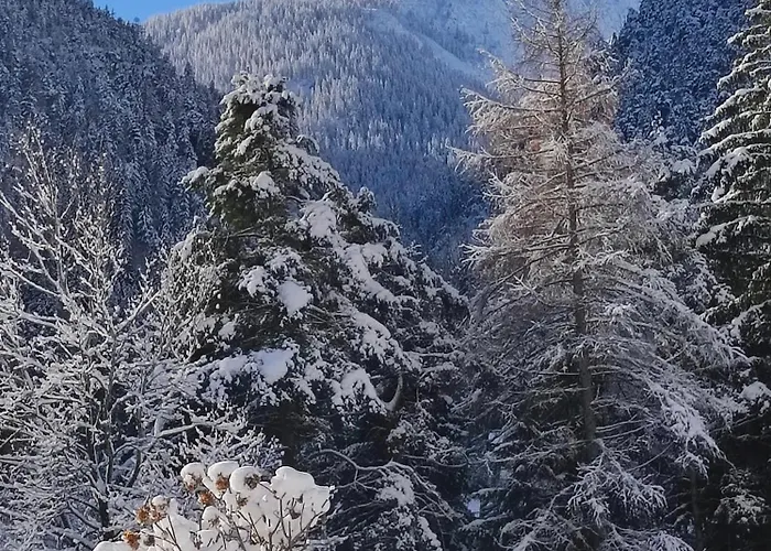 Privatunterkunft Gaestehaus Maria - *