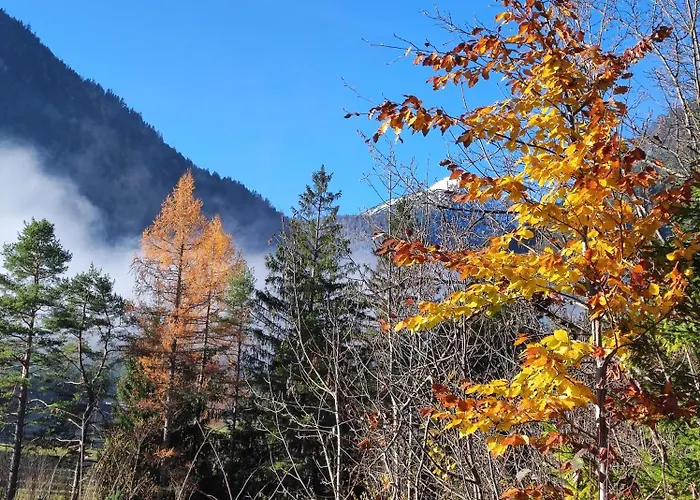 Privatunterkunft Gaestehaus Maria - *