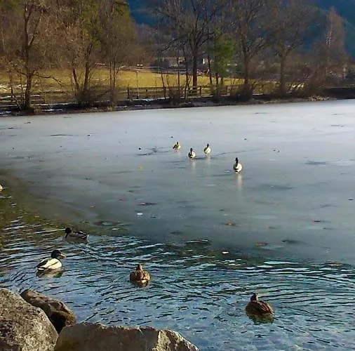 Gaestehaus Maria - Privatunterkunft