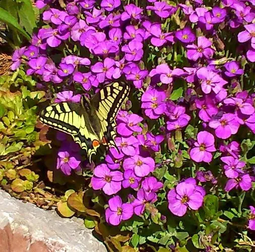 Privatunterkunft Gaestehaus Maria - Nassereith
