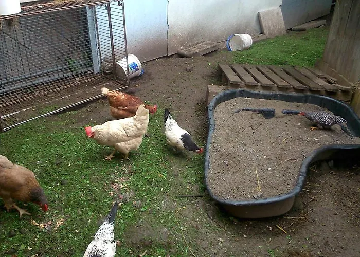 Gaestehaus Maria - * Nassereith