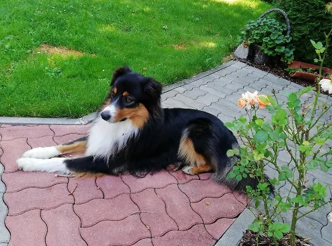 Gaestehaus Maria - Privatunterkunft