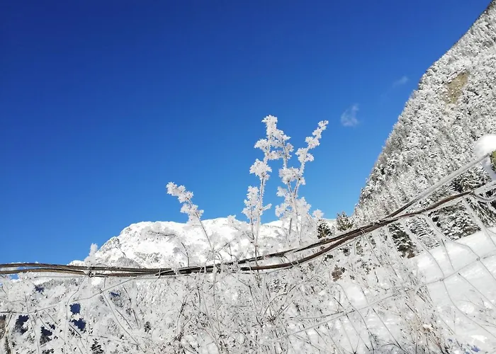 Privatunterkunft Gaestehaus Maria -