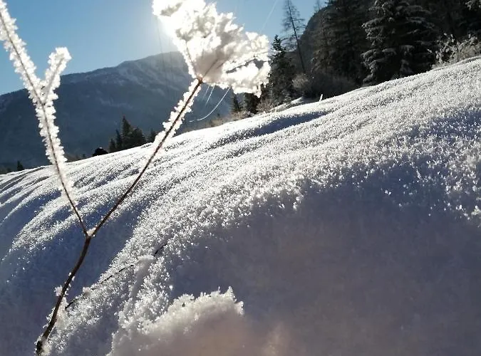 Gaestehaus Maria - *