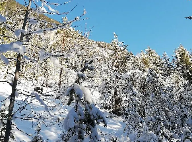 Gaestehaus Maria - Nassereith