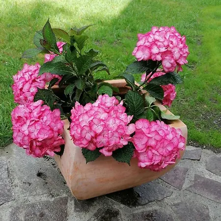 Gaestehaus Maria - *