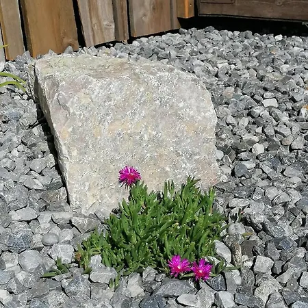 Alloggio in famiglia Gaestehaus Maria -