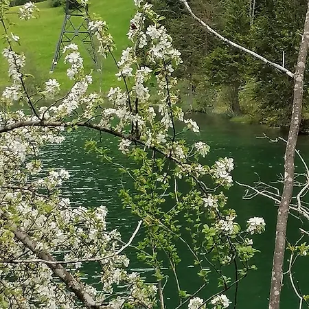 Gaestehaus Maria - Alloggio in famiglia *