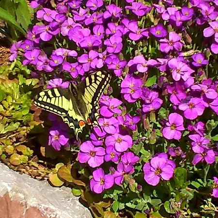 Alloggio in famiglia Gaestehaus Maria - Nassereith