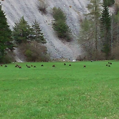 Gaestehaus Maria - *