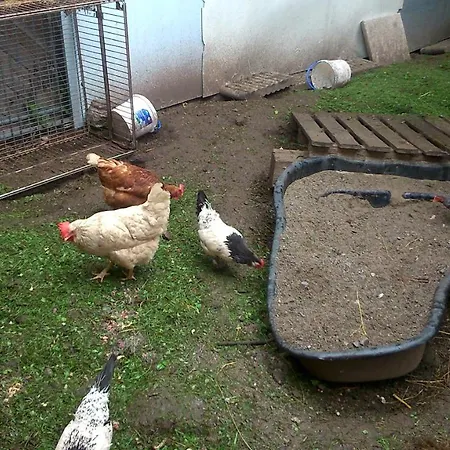 Gaestehaus Maria - * Nassereith