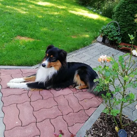 Maria - Privatunterkunft