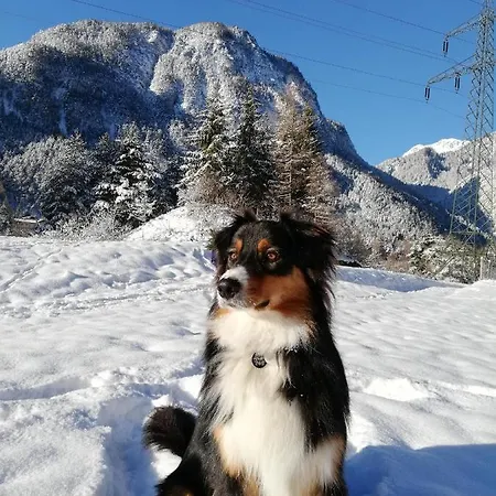 Gaestehaus Maria - Alloggio in famiglia *