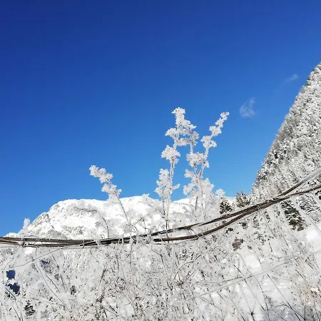 Alloggio in famiglia Gaestehaus Maria -