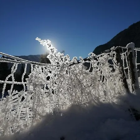 Gaestehaus Maria - Alloggio in famiglia