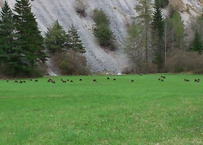 Gaestehaus Maria - *