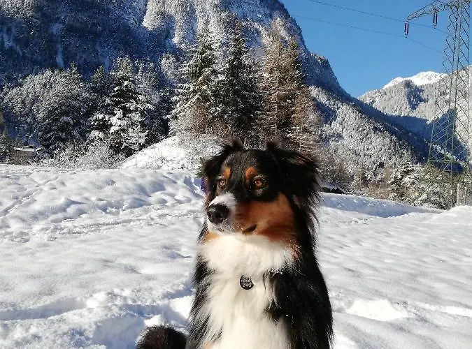 Gaestehaus Maria - Séjour chez l'habitant *