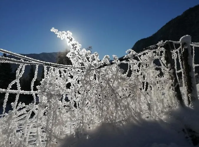Gaestehaus Maria - Séjour chez l'habitant
